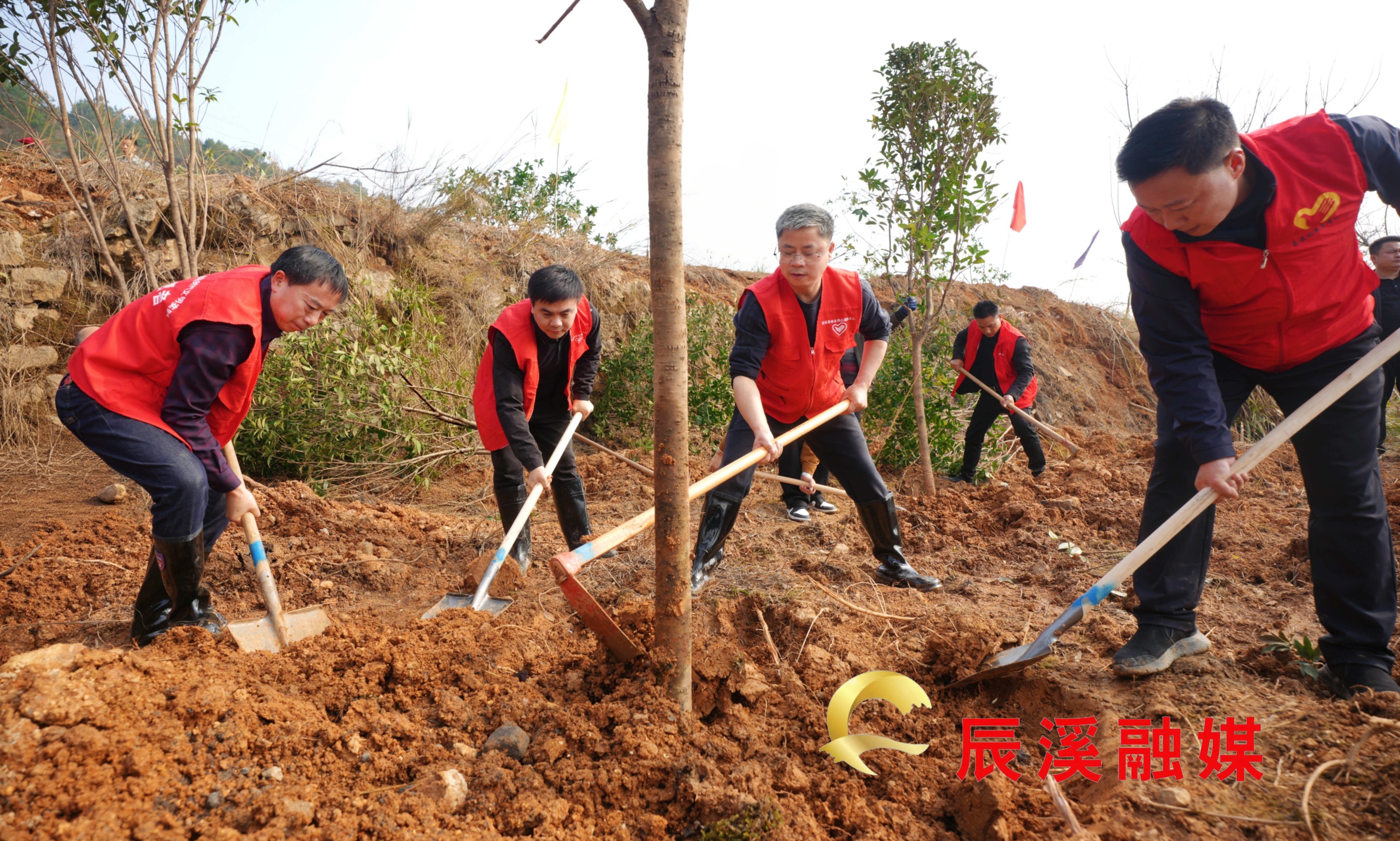 微信图片_20260312195016_4282_23.jpg 微信图片_20260312195016_4282_23.jpg