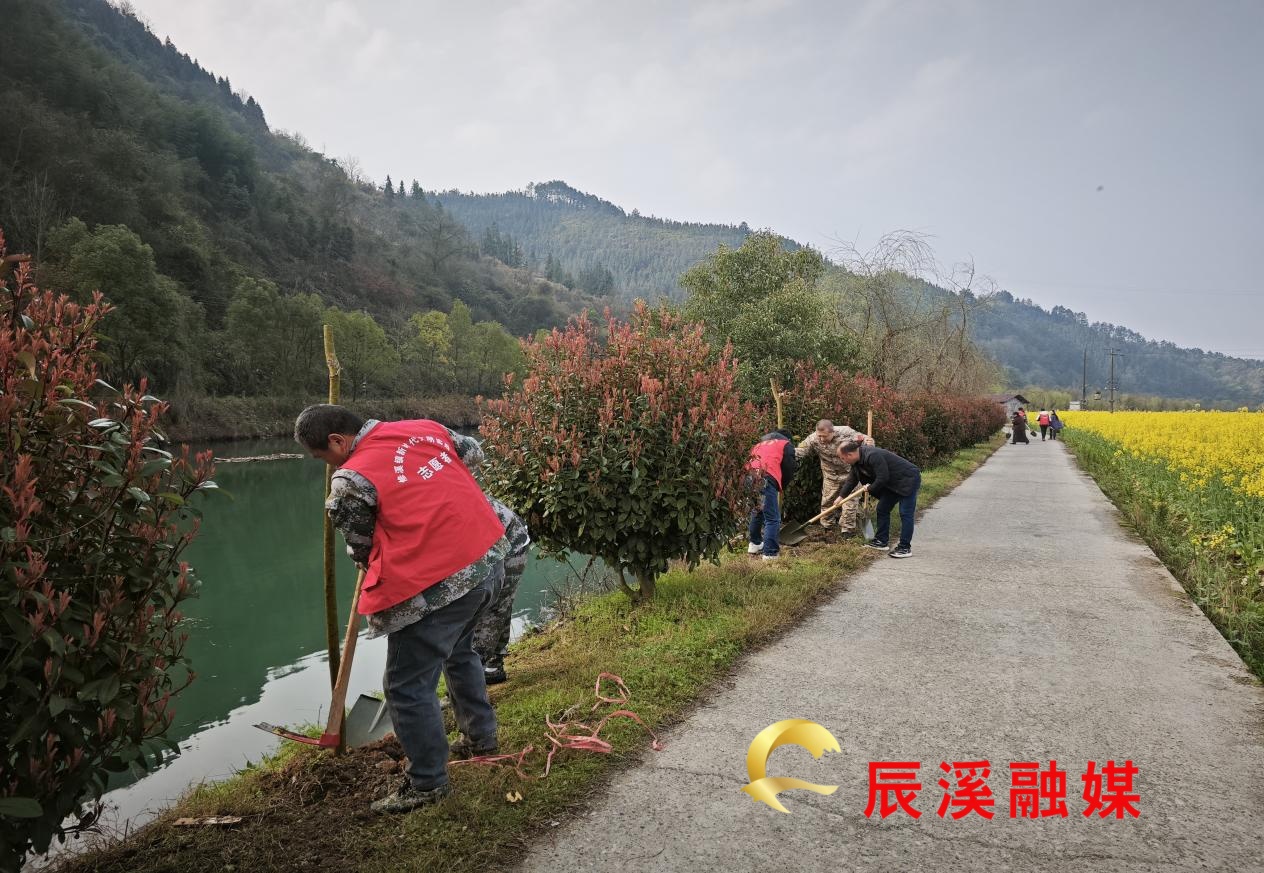 图片1.jpg 图片1.jpg