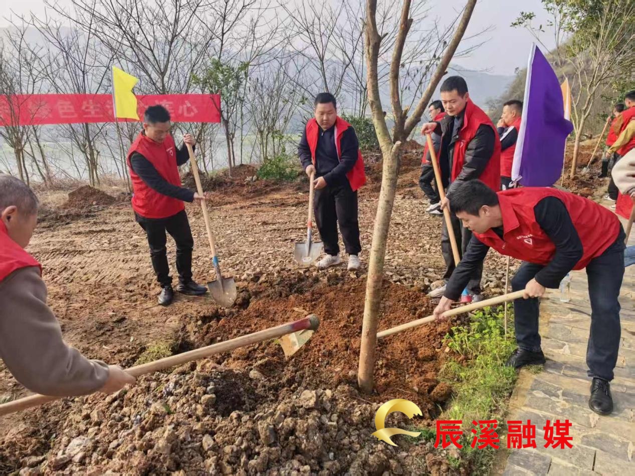 图片4.jpg 图片4.jpg