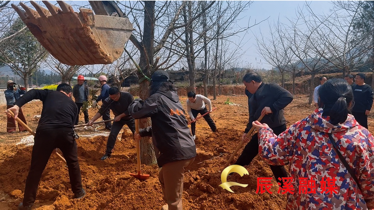 图片1.jpg 图片1.jpg