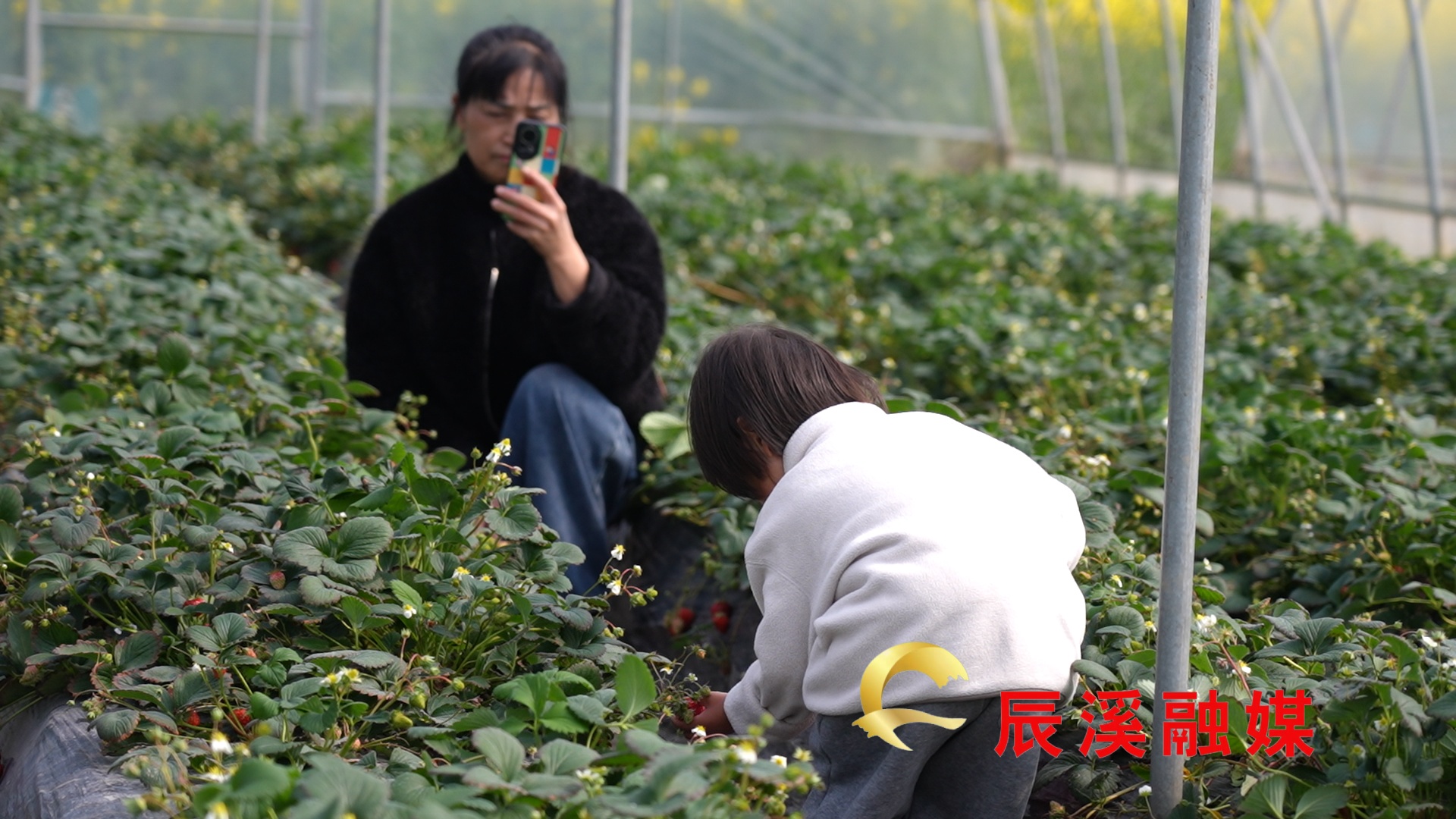 图片1.jpg 图片1.jpg