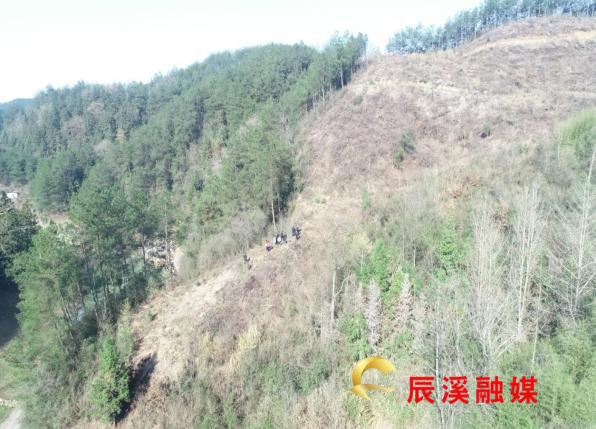 图片1.jpg 图片1.jpg