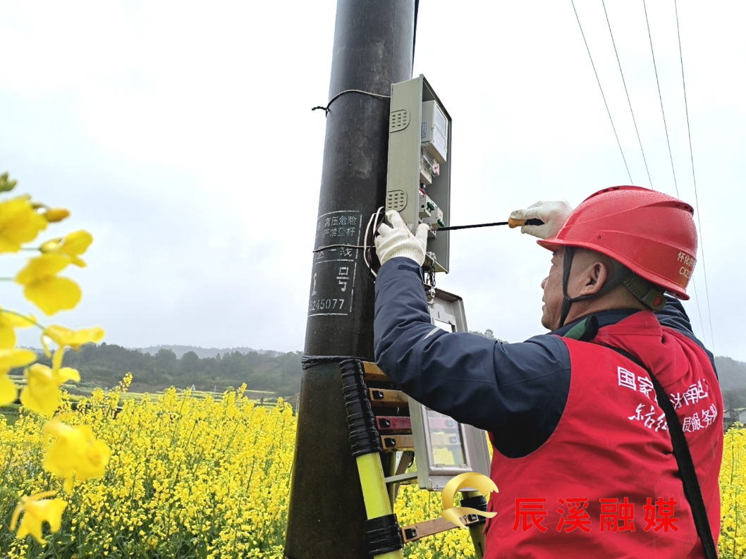 辰溪县供电公司：开展护航春耕春灌线路专项排查行动
