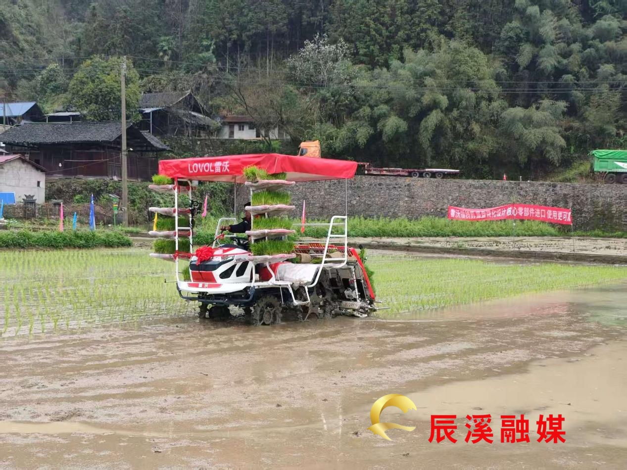 图片3.jpg 图片3.jpg