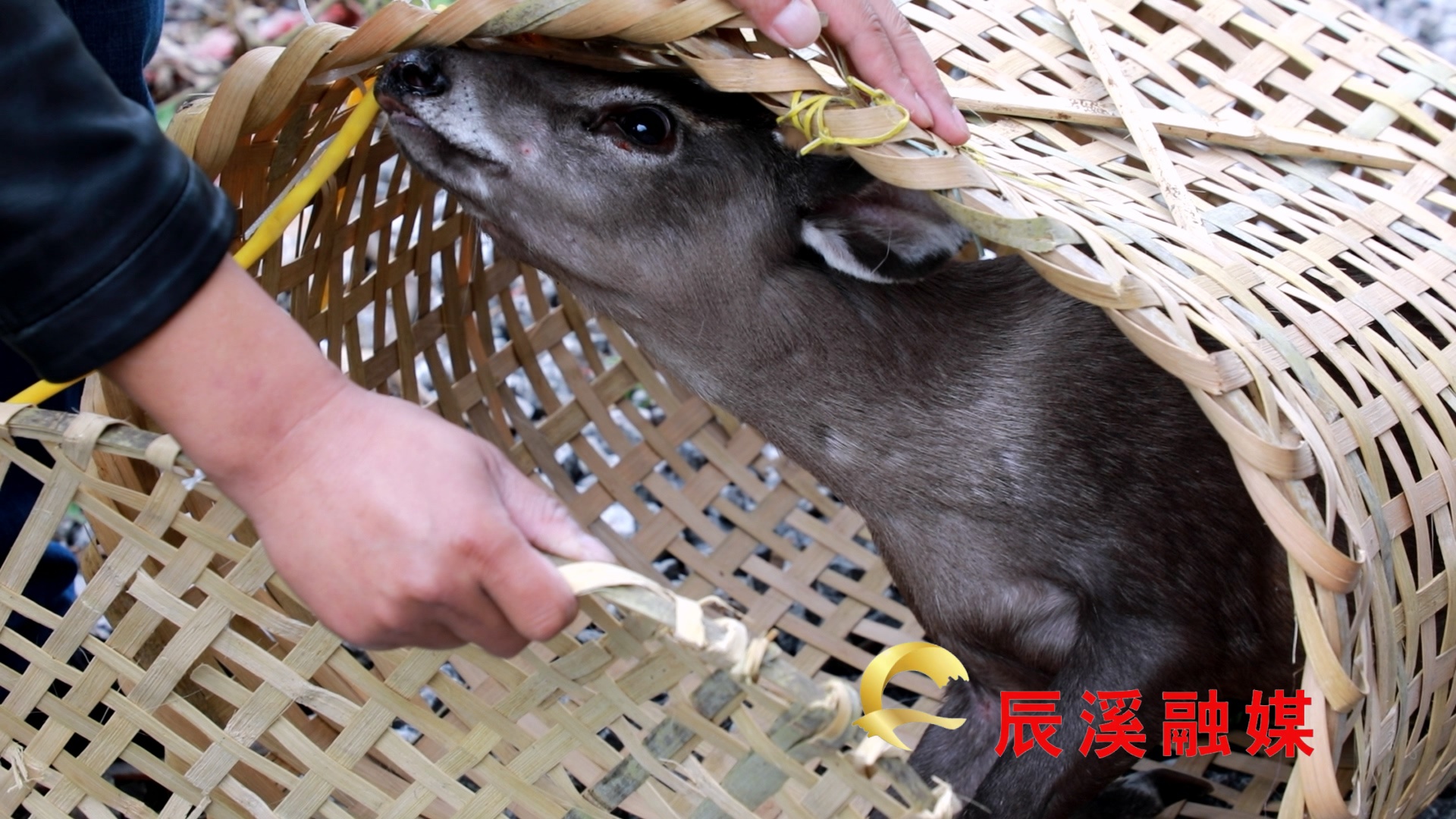 图片2.jpg 图片2.jpg