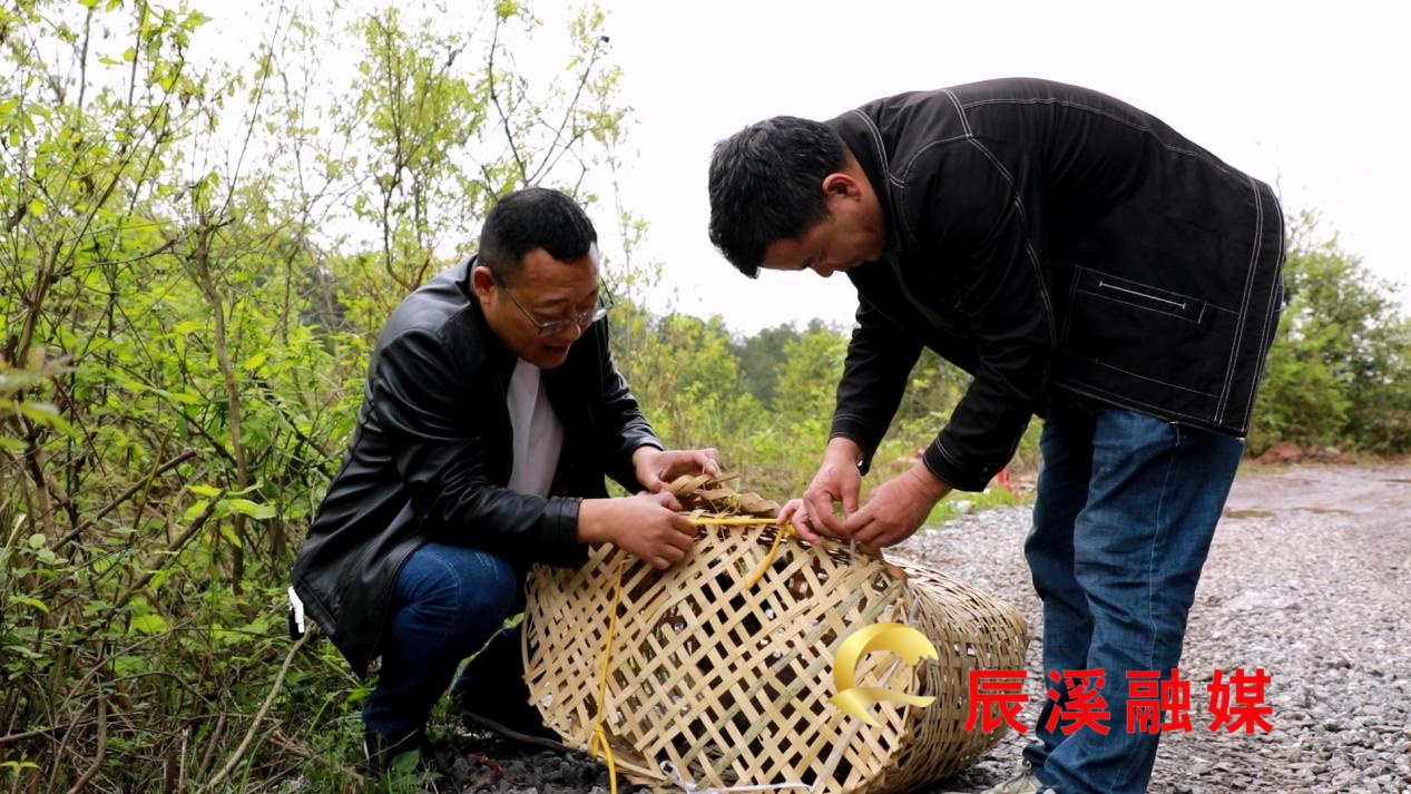 图片1.jpg 图片1.jpg