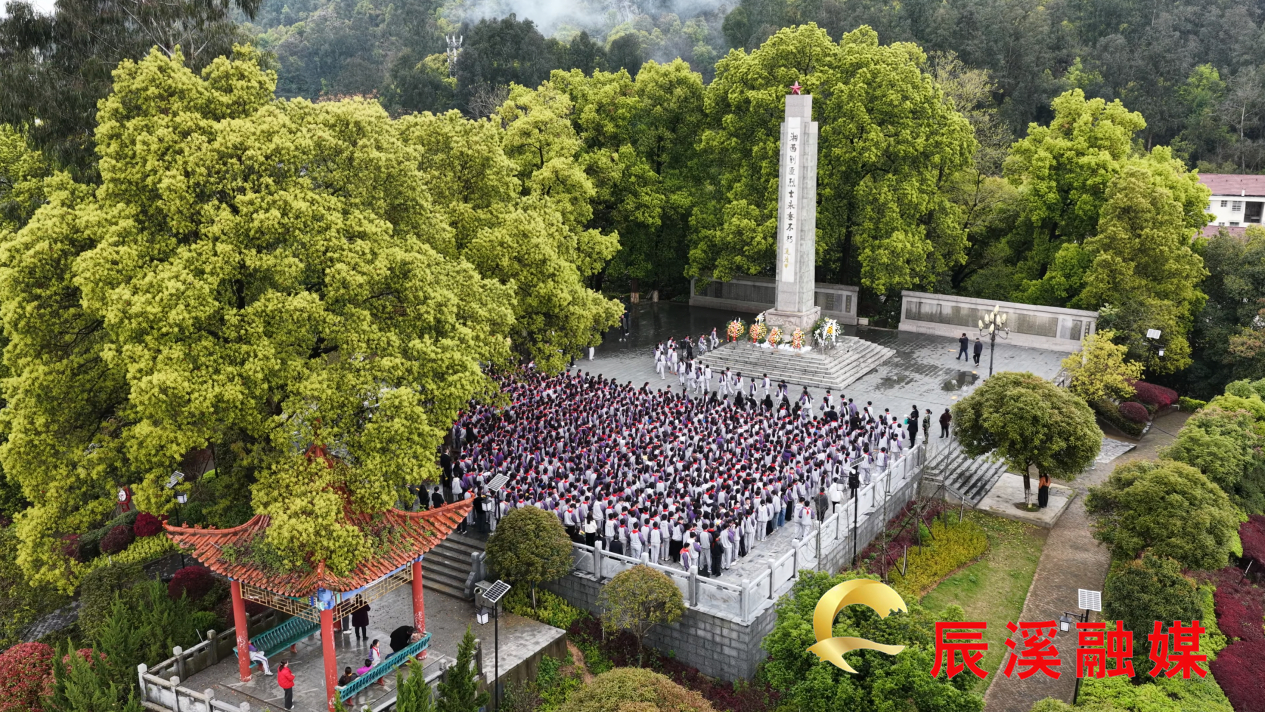 图片1.jpg 图片1.jpg