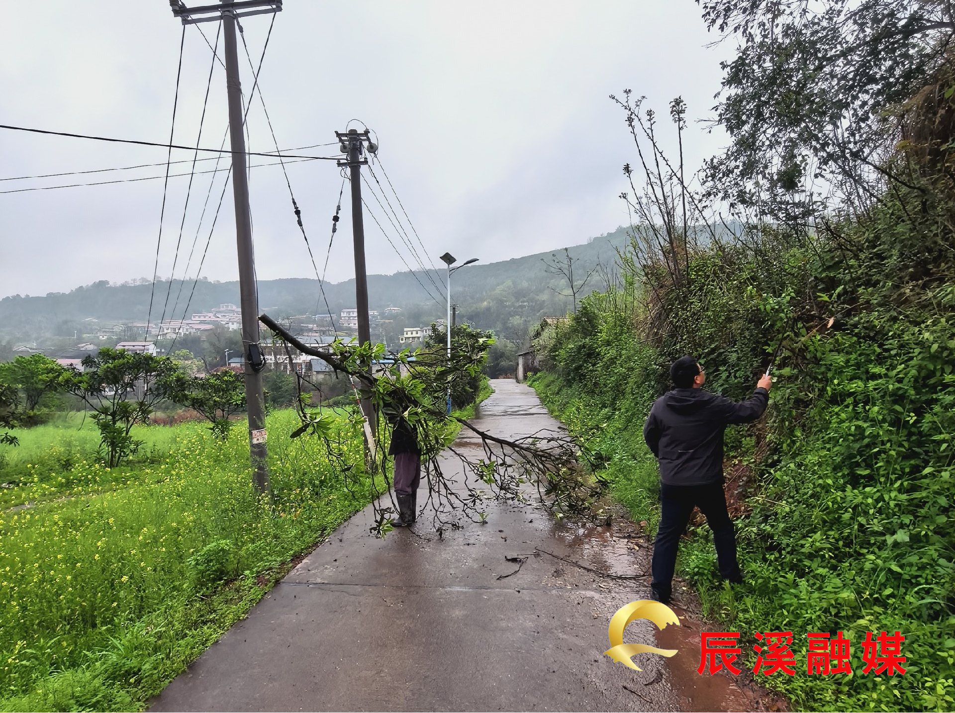 图片1.jpg 图片1.jpg