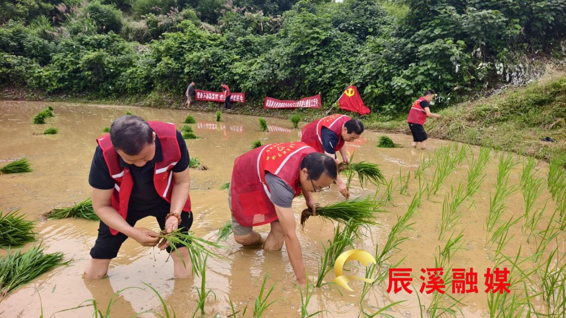 图片1.jpg 图片1.jpg