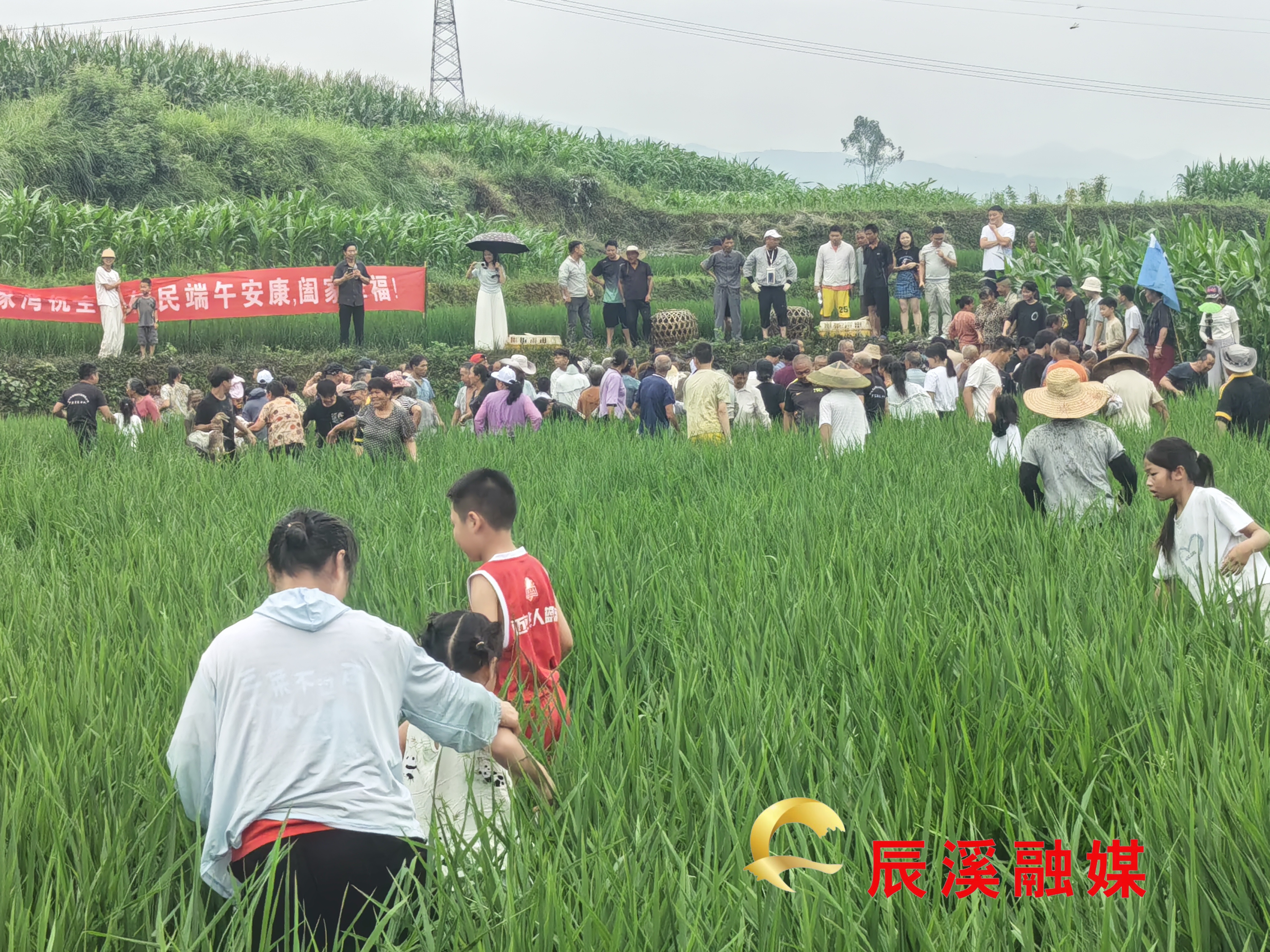 图片3.jpg