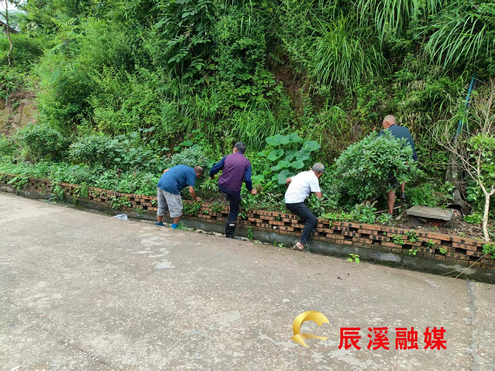 图片2.jpg