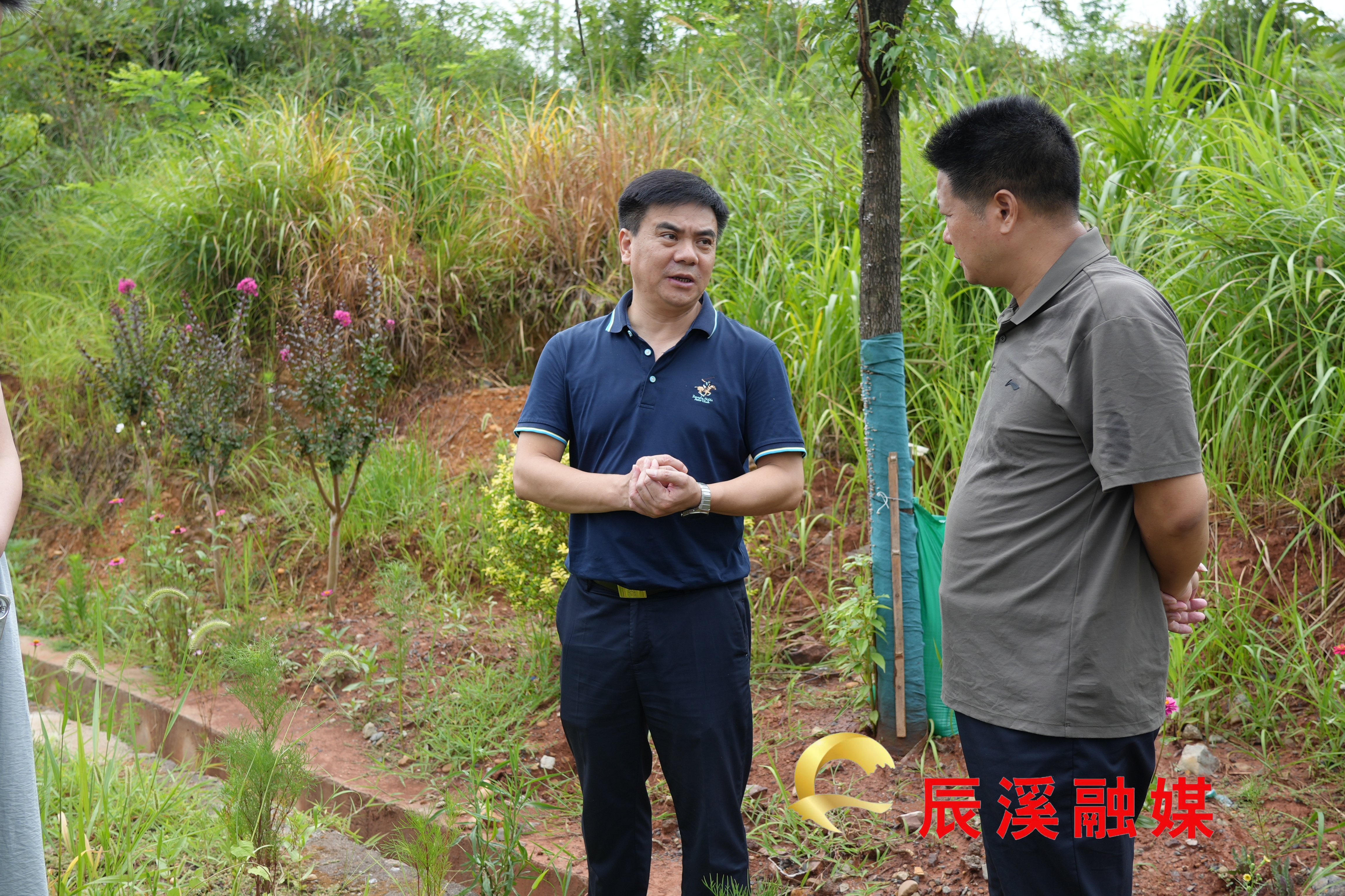 微信图片_20260803202149_9709_23.jpg 微信图片_20260803202149_9709_23.jpg