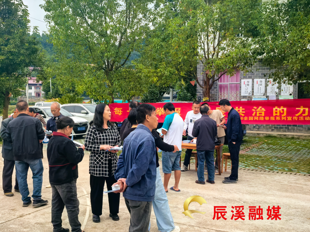 辰溪县开展网络举报宣传进乡村活动
