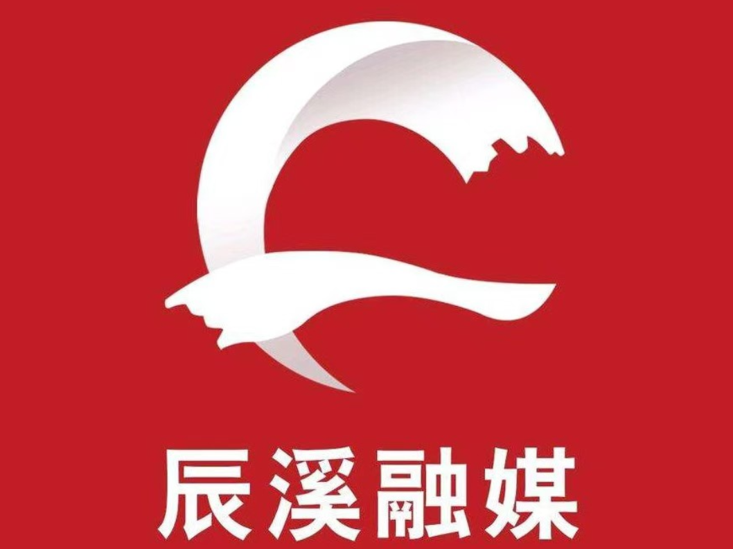 严查校车安全 守护上学路！辰溪开展校车专项检查筑牢平安防线
