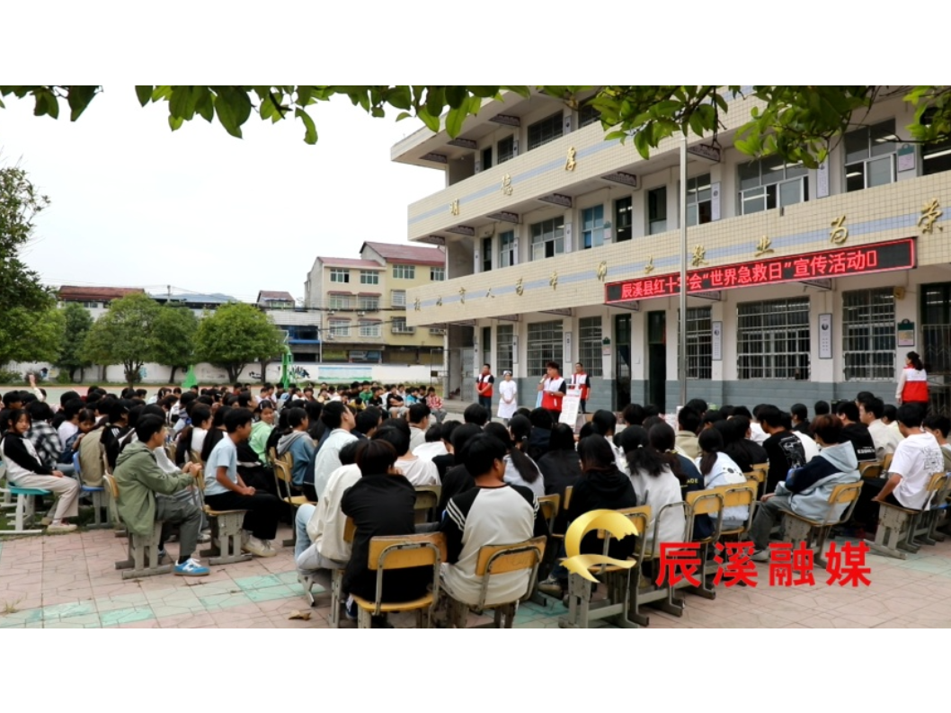 辰溪县红十字会开展2026年“世界急救日”主题宣传活动