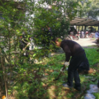 整治环境卫生 美化人居环境