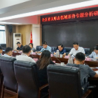 全区意识形态领域形势专题分析研判会议召开