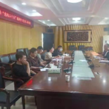 奇家岭街道青年团干集中学习党的二十大精神