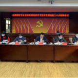 岳阳楼区卫生健康系统学习贯彻党的二十大精神