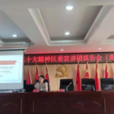 奇家岭街道学习贯彻党的二十大精神