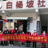 环境卫生大扫除 扮靓社区树新风