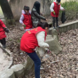 守护环境,小志愿者们在行动