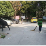 佘家垅社区：清洁家园 美丽社区
