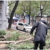 铁路社区主动清理被积雪压倒的树木