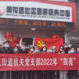 党员进社区 亮明身份助防疫
