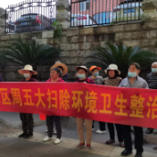 清扫道路落叶 确保路面整洁
