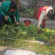清除违规“菜地” 美化小区环境