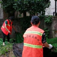 白杨坡社区：让农昌巷披上“绿衣”