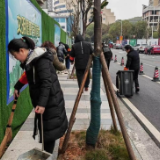 岳阳楼区杨树塘社区：整治环境卫生 共建清洁家园