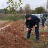 望岳路街道:弘扬生态文明,共建和谐家园