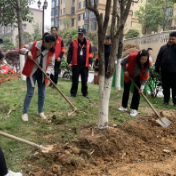 五里牌街道高山坡社区:“爱绿护绿,我们在行动”志愿活动