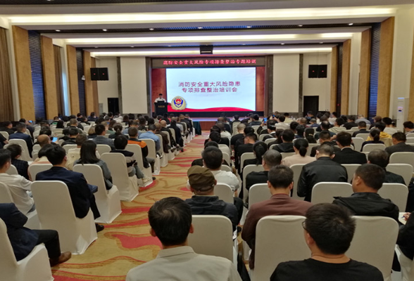 区消防救援大队组织召开消防安全重大风险专项排查整治专题培训会