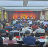 区卫生健康系统召开国卫复审工作推进会