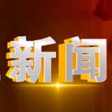 2024年11月11日楼区新闻