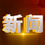 2024年11月19日楼区新闻