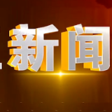 2024年11月25日楼区新闻