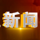 2024年11月26日楼区新闻