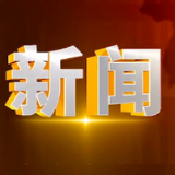 2024年12月4日楼区新闻