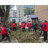 桂花园社区：严阵以待应对雨雪冰冻天气