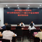 区委宣传部召开宣传系统学习贯彻党的二十届三中全会精神宣讲报告会