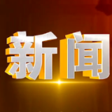 2025年2月11日楼区新闻