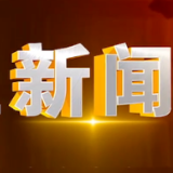 2025年2月12日楼区新闻
