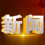 2025年2月5日楼区新闻