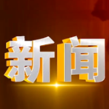 2025年4月2日楼区新闻