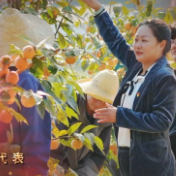 代表好声音⑤ | 钟瑛：逐梦田野间 共赴振兴路