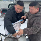 吕仙亭街道无人机助力梅溪桥农贸市场大棚融雪化冰